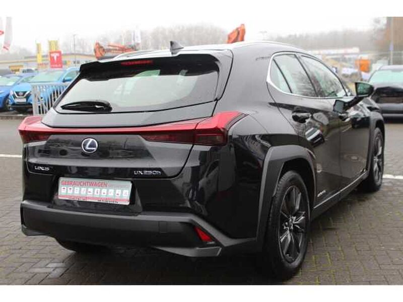 Lexus UX 250h LAUNCH+Navi+LED+SITZHZG+LENKRADHZG+KAMERA